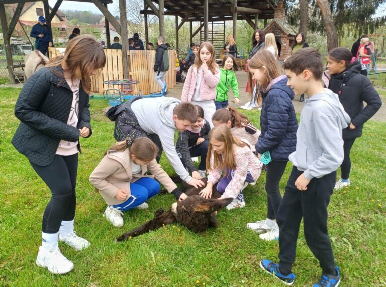 Mali uskršnji ZOO u Slatini
